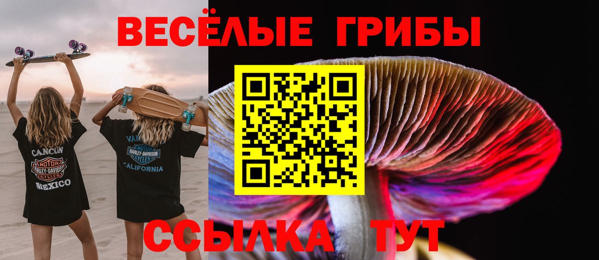 Гашиш  ГАШ  Вход с VPN  Каннабис  Вейп ТГК  Новокузнецк  Меф кристаллы  LSD-25  COCAIN  Меф МЯУ МЯУ 