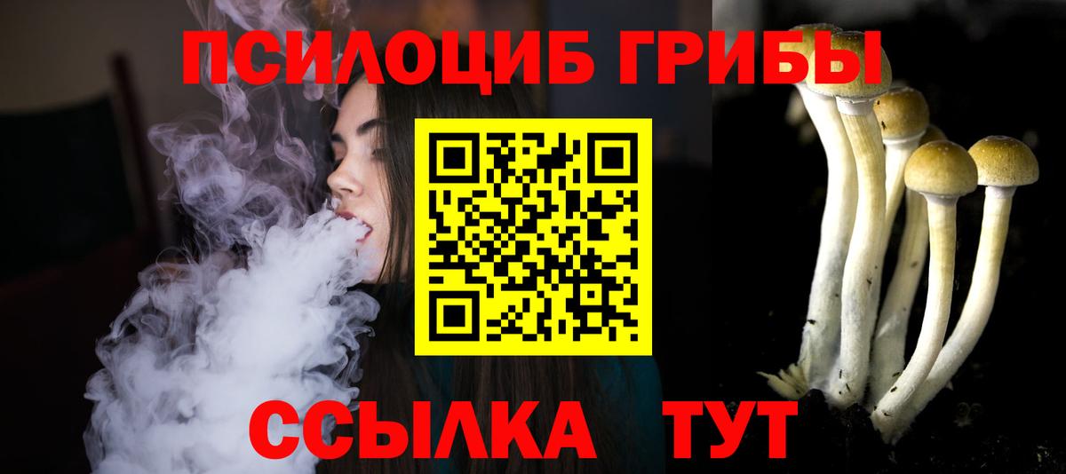 наркотики  Галлюциногенные грибы Cubensis  Вход с VPN  Новокузнецк 