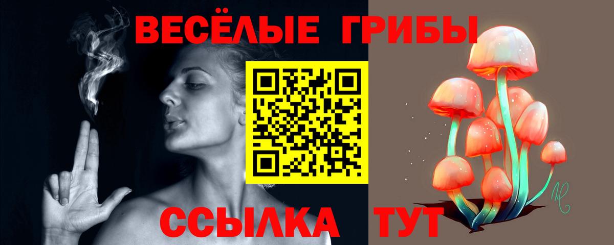 Псилоцибиновые грибы ЛСД Новокузнецк